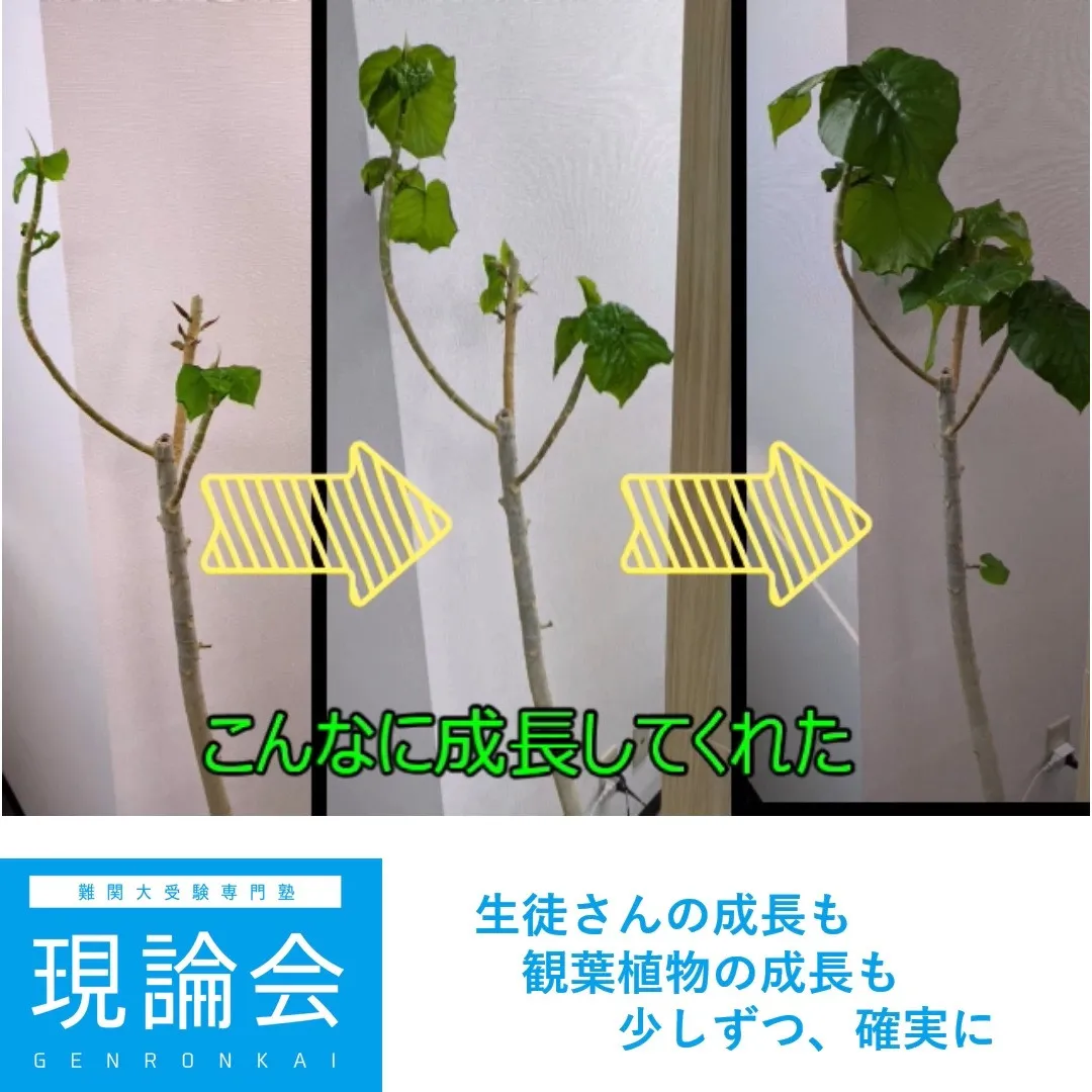 取手駅周辺で塾・予備校をお探しの皆さん。